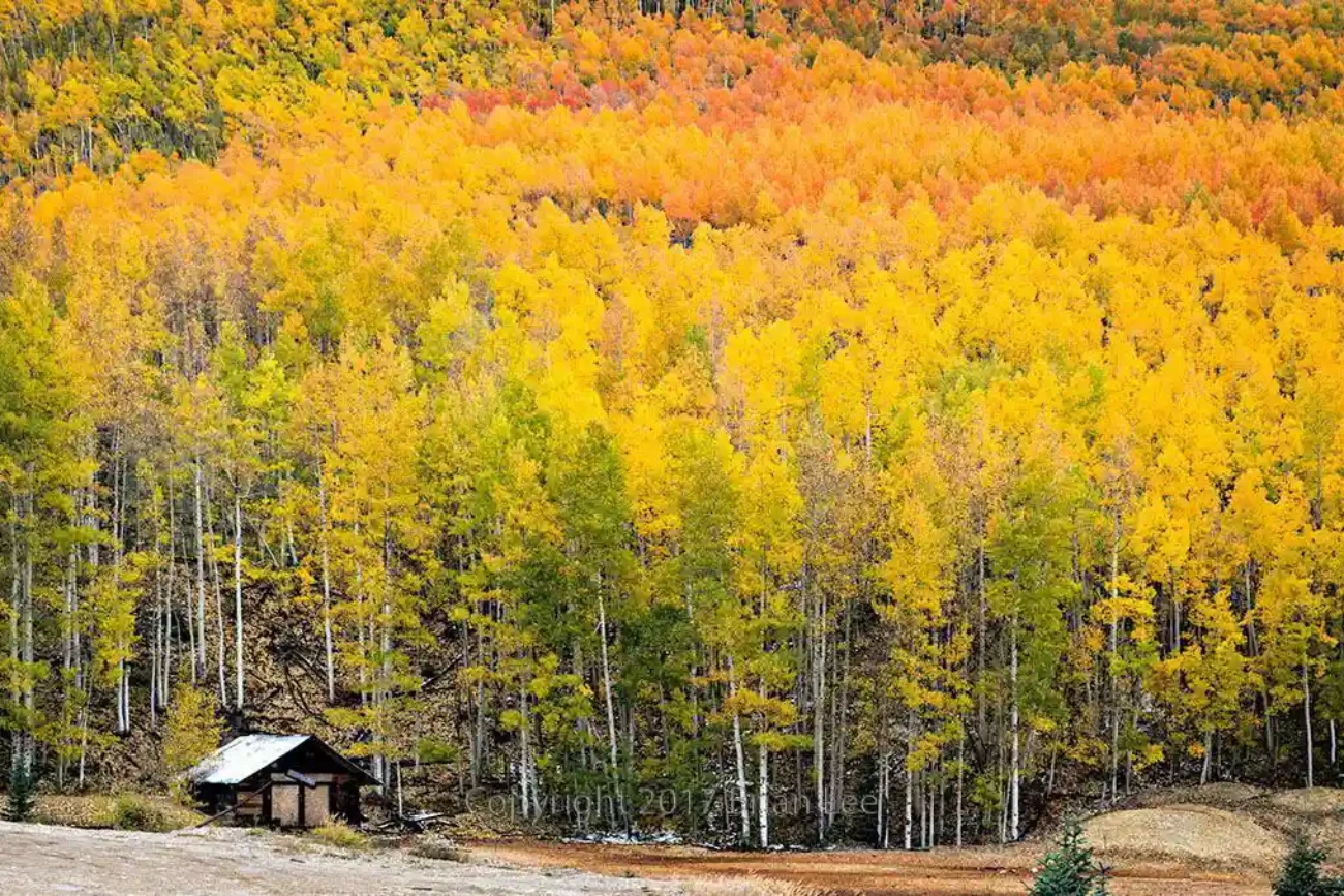 Brian Lee Photography - Fall colors, Ironton, CO