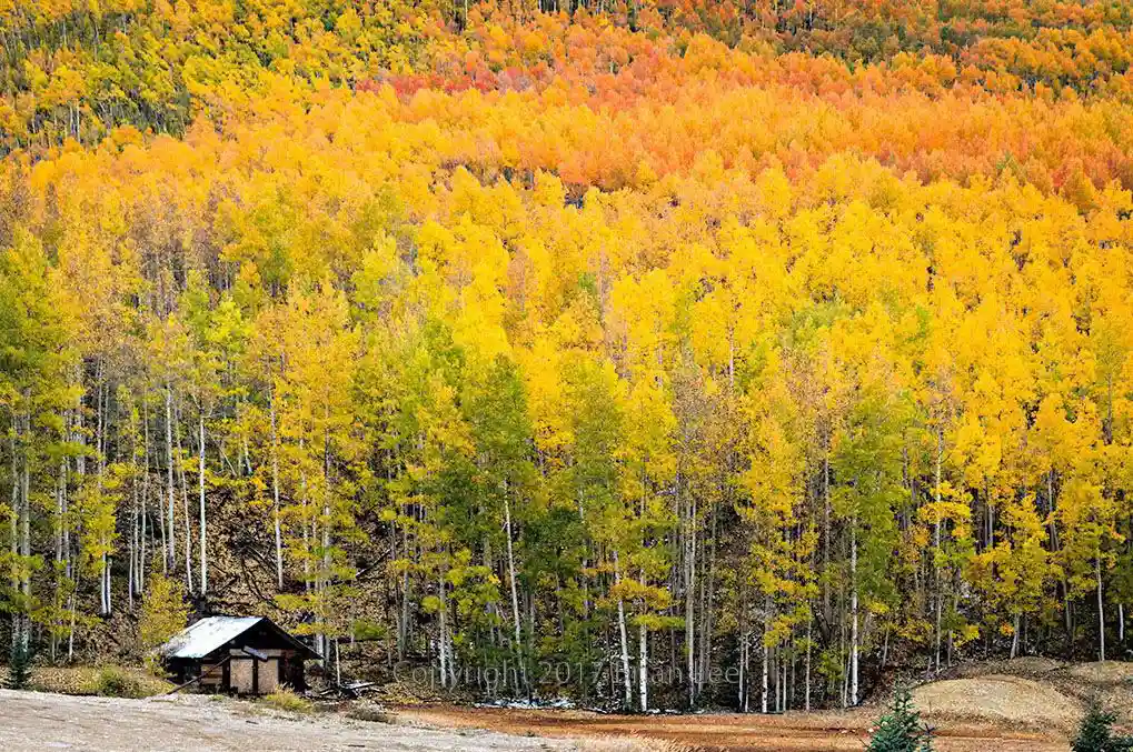 Brian Lee Photography - Fall colors, Ironton, CO