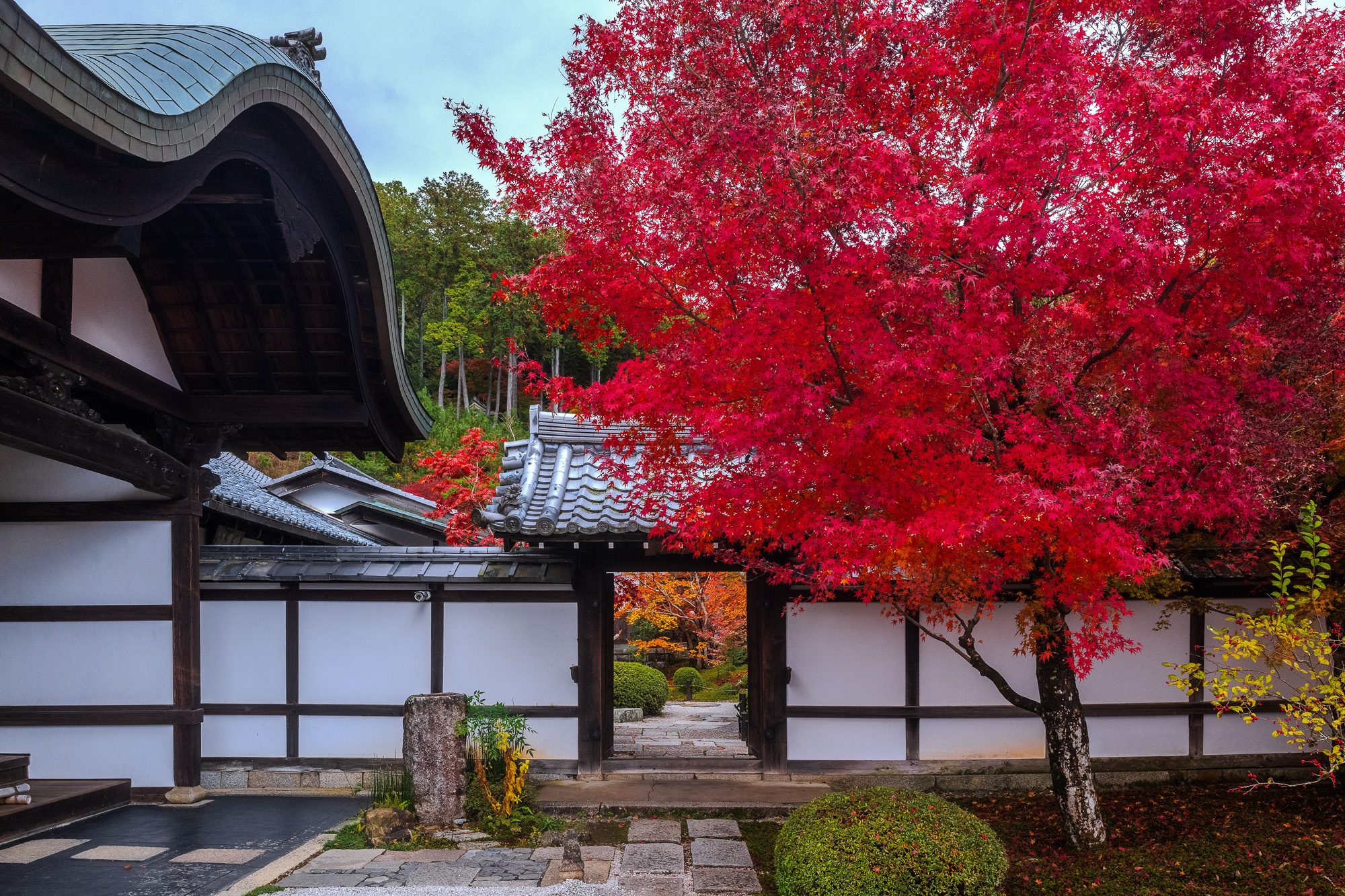 Japan Trip 2025