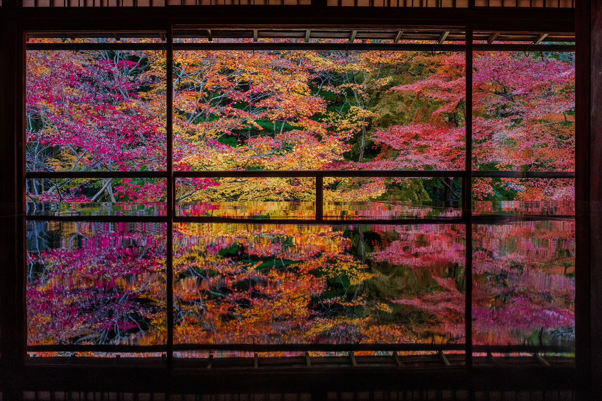 Japan Trip 2025