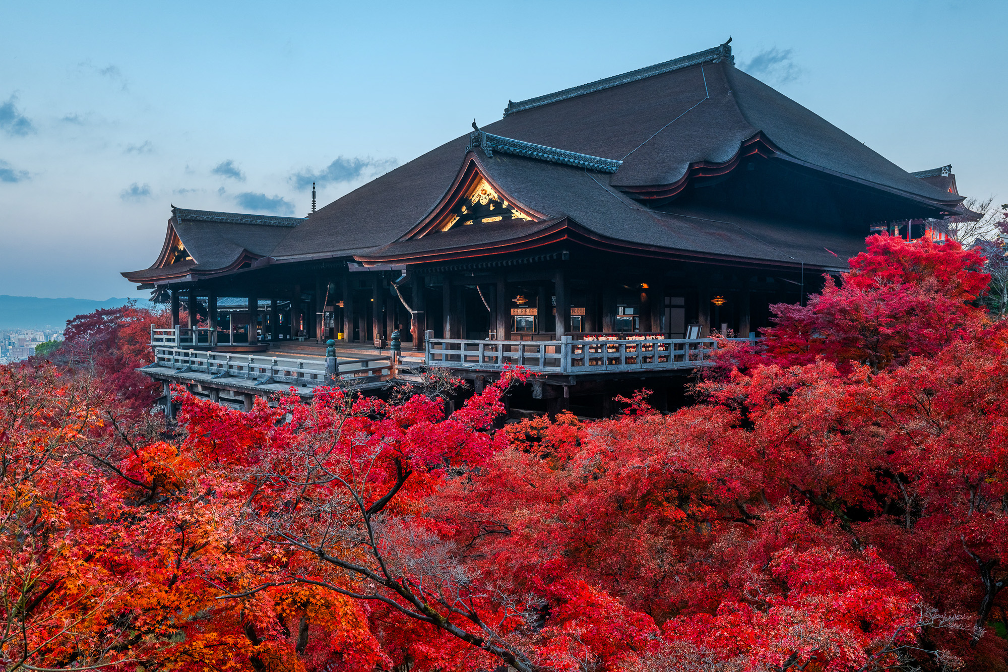 Japan Trip 2025